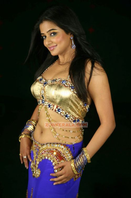 Malayalam Actress Priyamani 3656