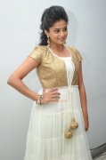 Malayalam Actress Priyamani 3710