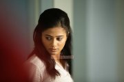 Malayalam Actress Priyamani 8146