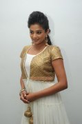 Malayalam Actress Priyamani Photos 3475