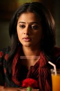 Malayalam Actress Priyamani Photos 5983