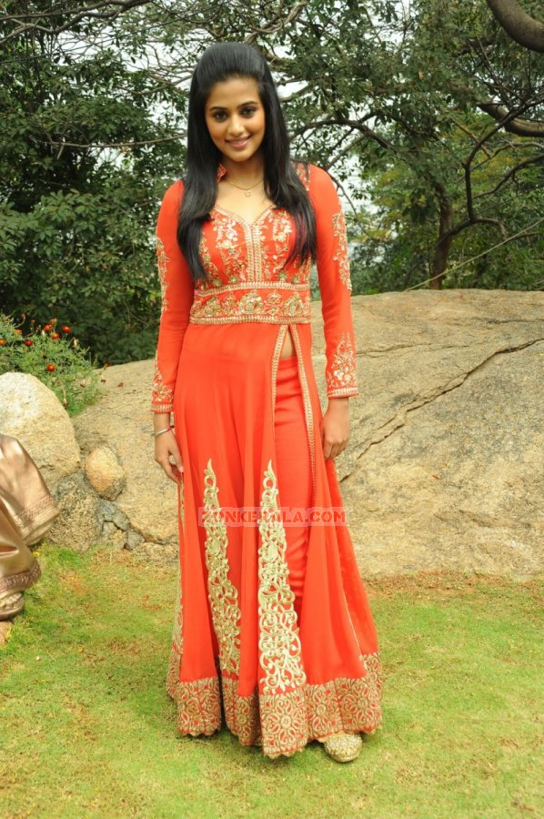 Malayalam Actress Priyamani Photos 9342