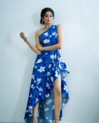 New Albums Priyamani Actress 4497