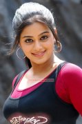 New Stills Priyamani Malayalam Movie Actress 7291