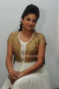 Priyamani 1371