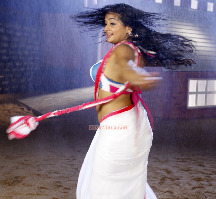 Priyamani 4103