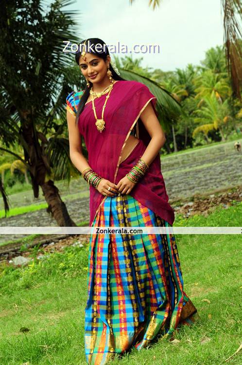 Priyamani New Picture002