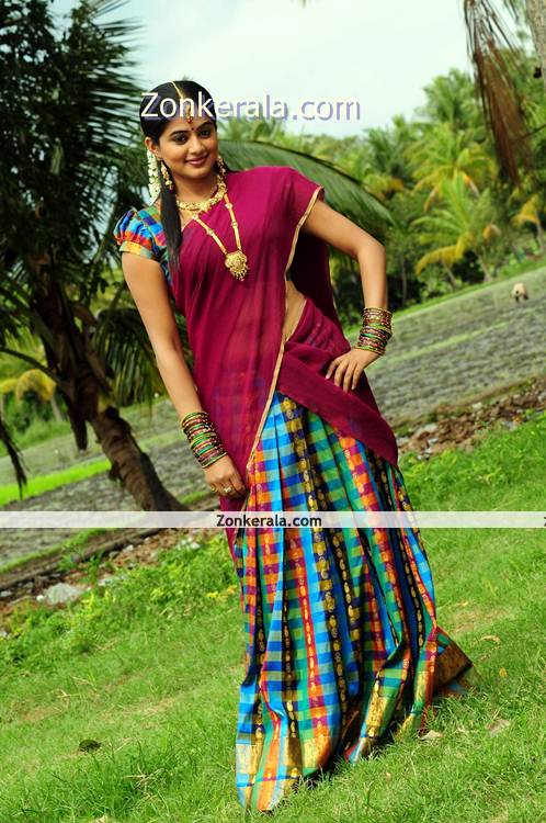 Priyamani New Picture003