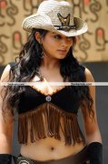 Priyamani New Pictures 0010