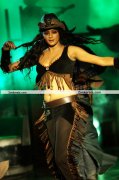 Priyamani New Stills 008