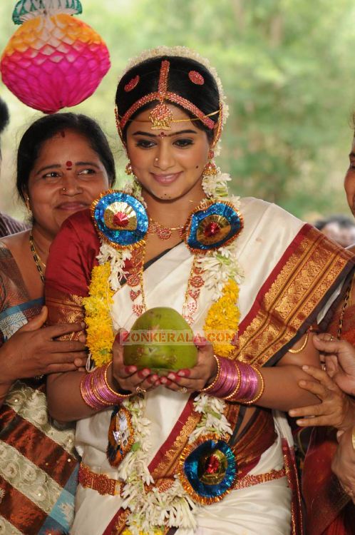 Priyamani Pics 664