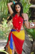 Priyamani Spicy Picture10