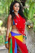 Priyamani Spicy Picture11