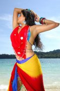 Priyamani Spicy Picture13
