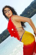 Priyamani Spicy Picture15