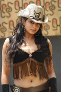 Priyamani Spicy Picture2