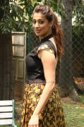 Latest Image Raai Laxmi South Actress 6677