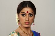 Movie Actress Raai Laxmi New Pictures 3739
