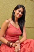 Pics Cinema Actress Raai Laxmi 9499