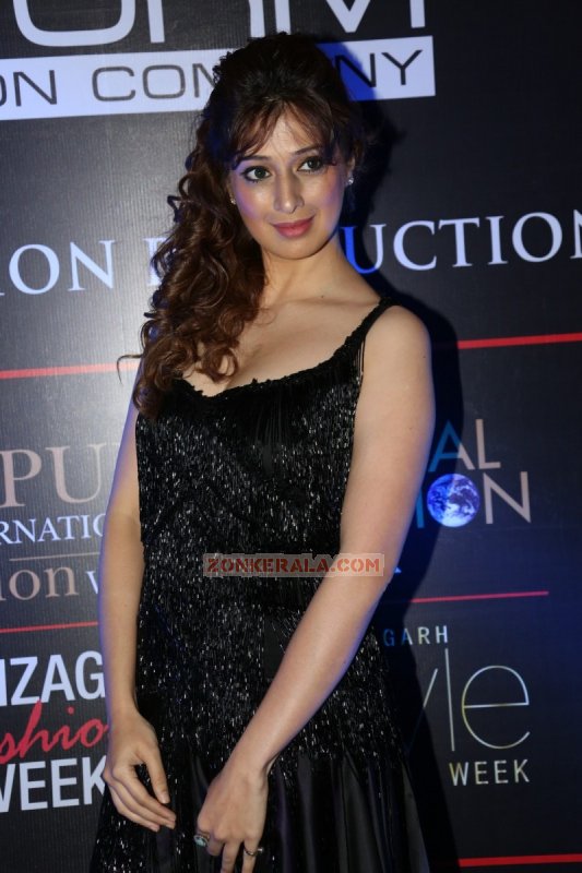 Raai Laxmi Cinema Actress Recent Pictures 4001