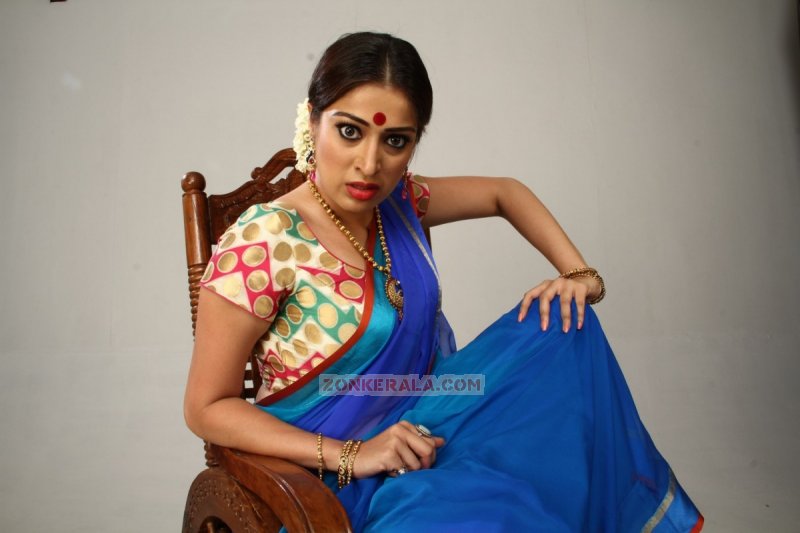 Raai Laxmi Malayalam Heroine 2015 Wallpapers 7217