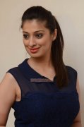 Raai Laxmi Stills 7779