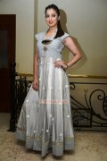 Raai Laxmi Stills 8363