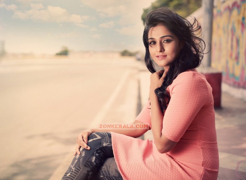 2016 Albums Indian Actress Remya Nambeesan 2244