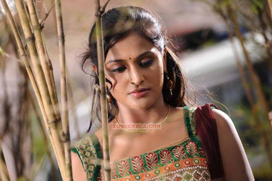 Actress Remya Nambeesan 1783