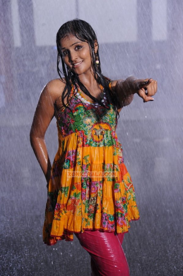 Malayalam Actress Remya Nambeesan 6662