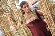 Malayalam Actress Remya Nambeesan Photos 8917