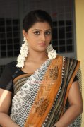 New Album Remya Nambeesan Actress 3064