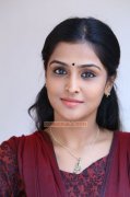 Remya Nambeesan 157