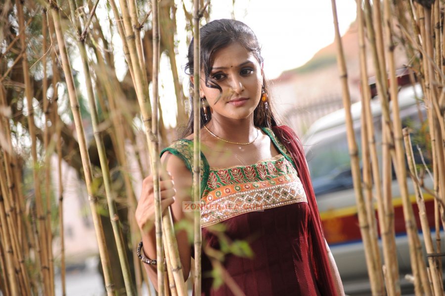 Remya Nambeesan 3870