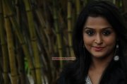 Remya Nambeesan 9034