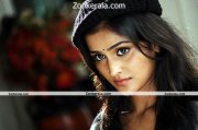 Remya Nambeesan Latest Pic 2