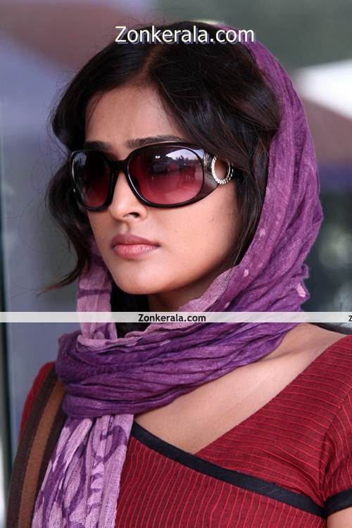 Remya Nambeesan New Pictures2