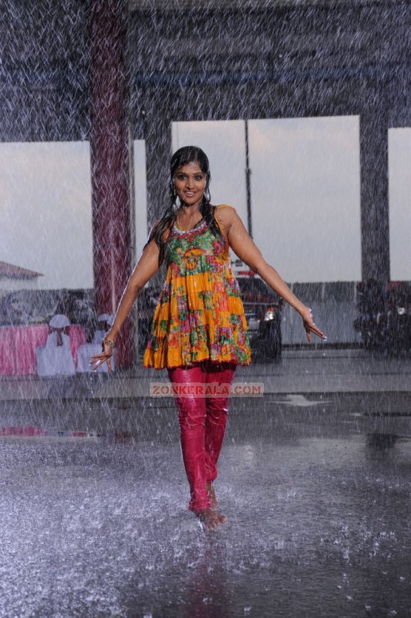 Remya Nambeesan Photos 4661