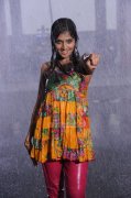 Remya Nambeesan Stills 8072