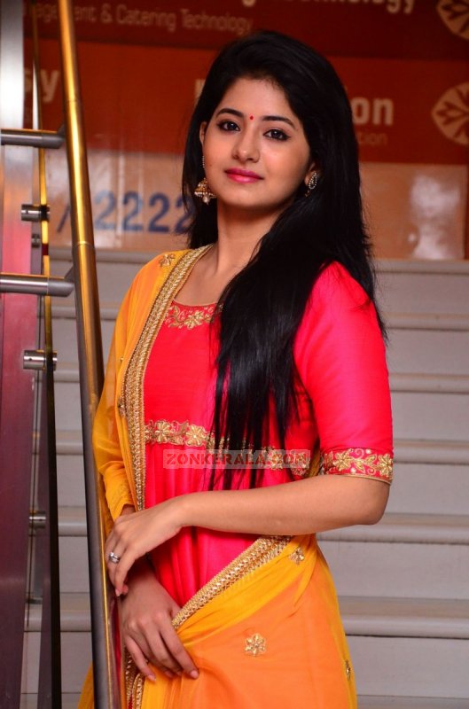 Indian Actress Reshmi Menon 2015 Galleries 1729