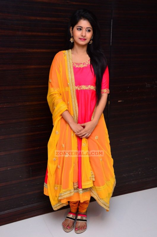 Reshmi Menon Film Actress Photo 5242