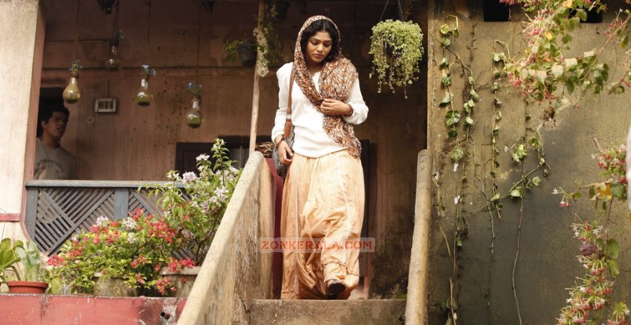 Malayalam Actress Rima Kallingal Photos 6268