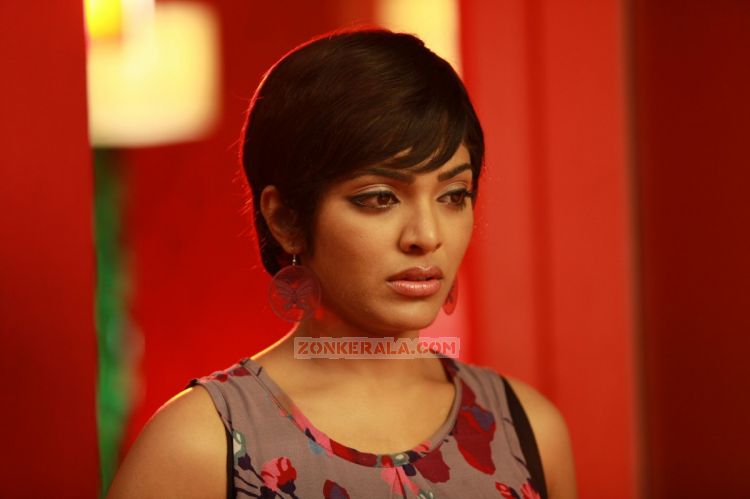 Rima Kallingal 6882