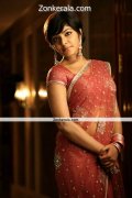 Rima Kallingal In Saree Still 2