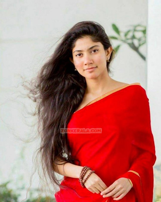 Feb 2017 Image Movie Actress Sai Pallavi 2591