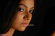 Actress Samvrutha Sunil 8546