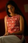 Actress Samvrutha Sunil Stills 7087