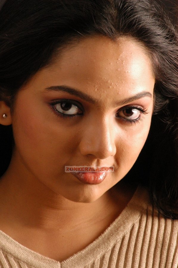 Samvrutha Sunil Stills 1182 - Malayalam Actress Samvrutha Sunil Photos