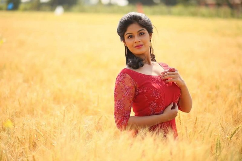 Samyuktha Menon Movie Actress Recent Gallery 7215