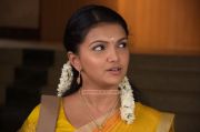 Actress Saranya Mohan Photos 145